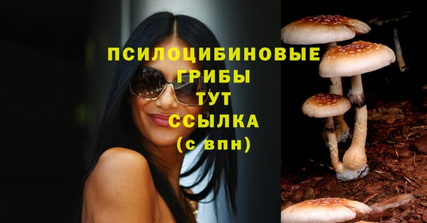 mix Алексин